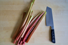 Garden Rhubarb