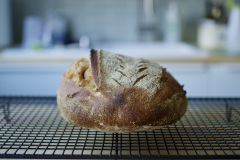 Sourdough